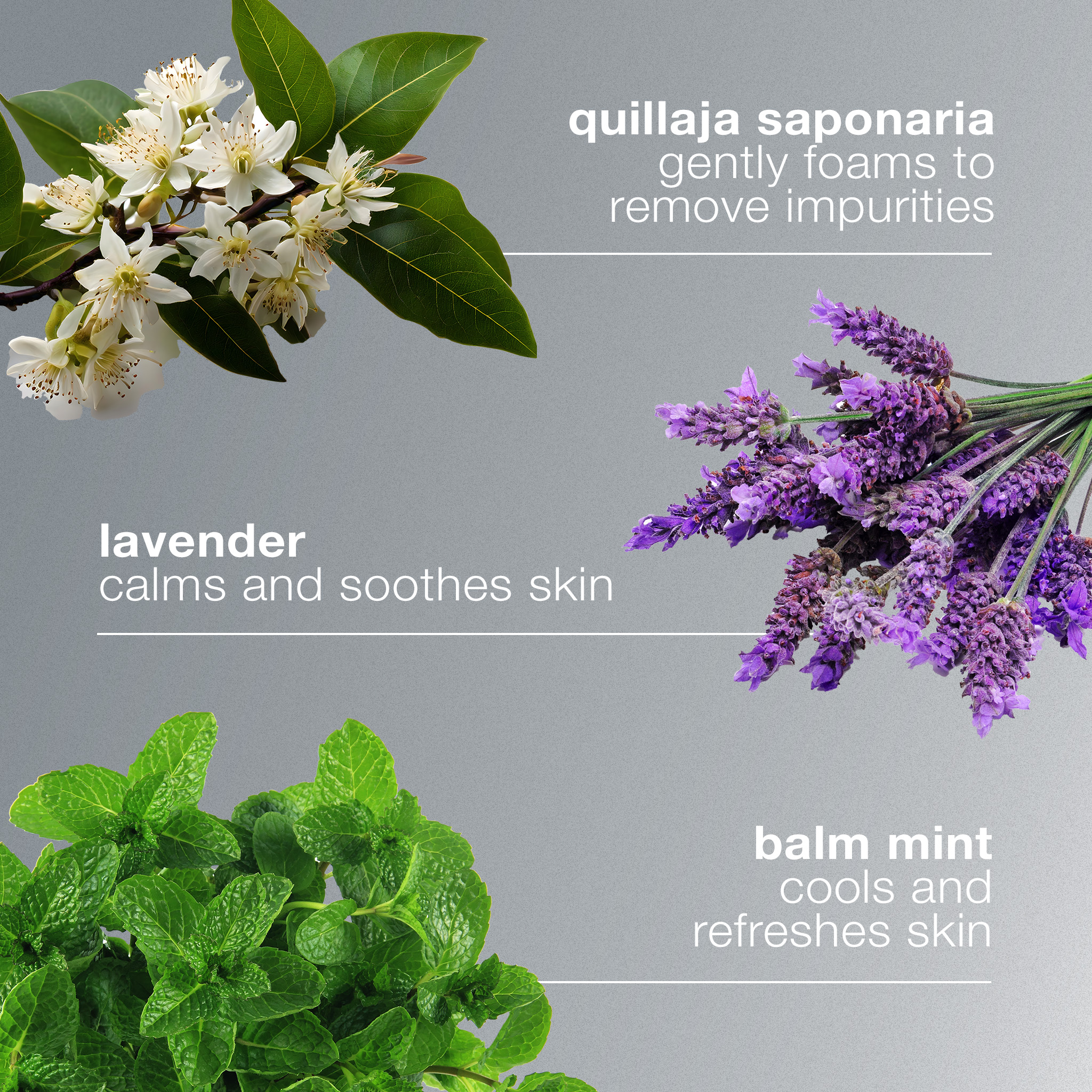 special cleansing gel - Image 6