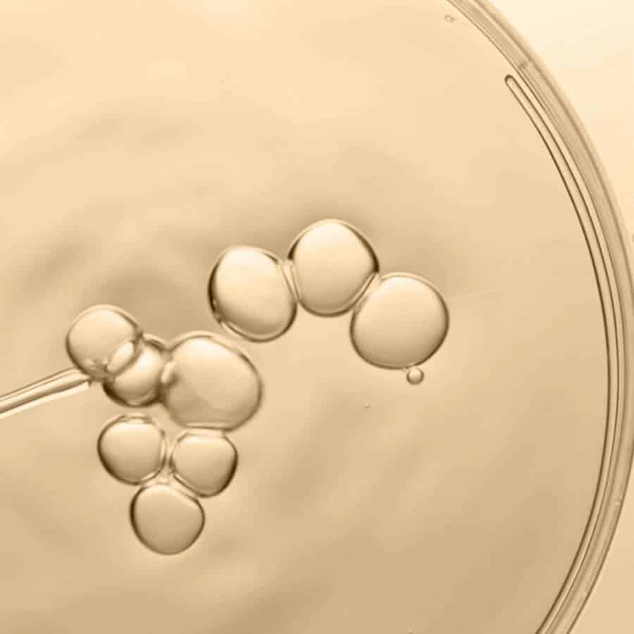 Daily Milkfoliant - Image 11